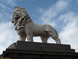 獅子,倫敦,圖像