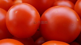 蕃茄,成熟,食品