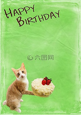 生日,貓,蛋糕