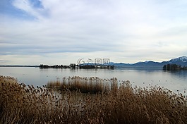 景觀,基姆湖,蘆葦