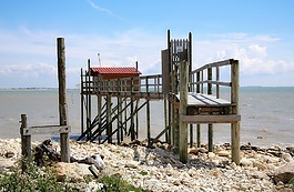 海,捕魚,凈額
