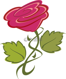 花,玫瑰,自然