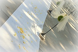 婚禮,新娘,戶外