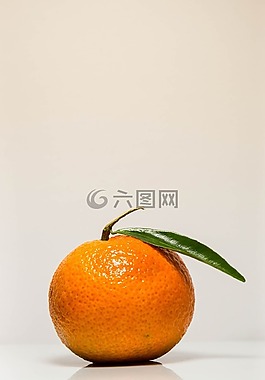 普通話,橙色,柑橘