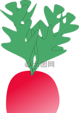 蘿卜,蔬菜,食品