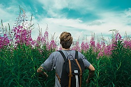 盛開,開花,光明