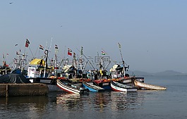 海港,釣魚,船