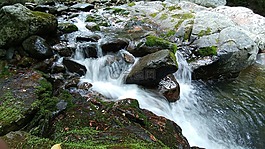 夏天,谷,水