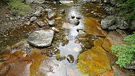 大自然,水,延續