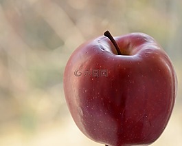 蘋果,水果,紅色
