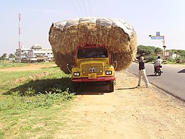 印度,卡車,貨物