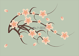 櫻花,花的,花