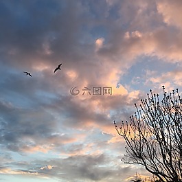 秋,天空,云