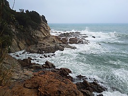 海,岸,自然