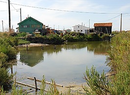 oléron,牡蠣,渠道