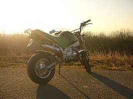摩托車,電機,滾子