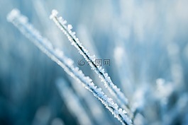 冰,eiskristalle,弗羅斯特