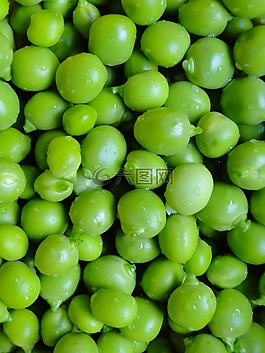 豌豆,蔬菜,花園