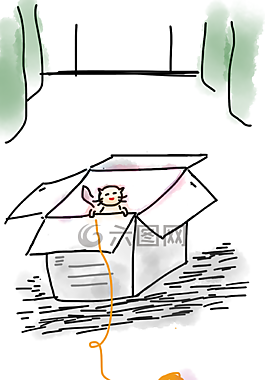 貓,小貓,盒