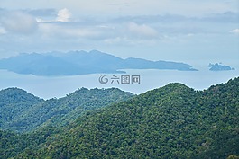 山,樹,性質(zhì)