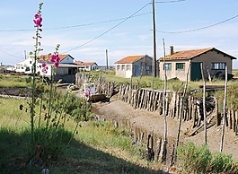 小木屋,牡蠣,通道