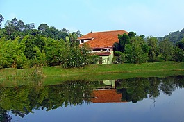 假期回家,度假村,綠化