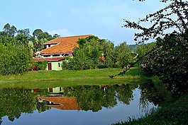假期回家,度假村,綠化