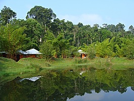 假期回家,度假村,綠化