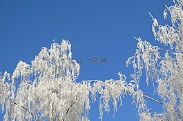 性質(zhì),積冰,冬天