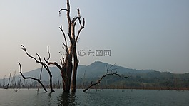 緬甸,叢林,河