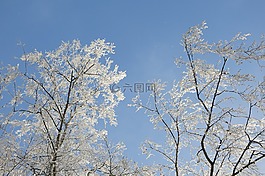 性質(zhì),積冰,冬天