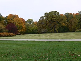秋,花園,樹