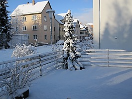 冬天,雪,首頁
