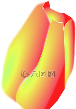 郁金香,花,黃色