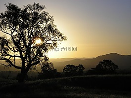 日落,桉樹(shù),山