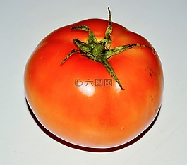蔬菜,番茄,公平