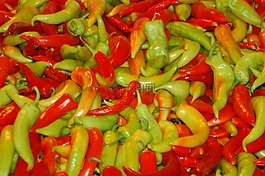 辣椒,aji,蔬菜