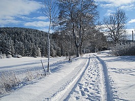 離,冬天,雪