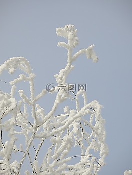 性質(zhì),積冰,冬天