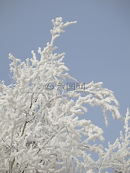 性質(zhì),積冰,冬天