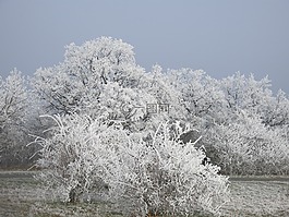 性質(zhì),積冰,冬天