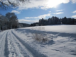 冬天,雪,離