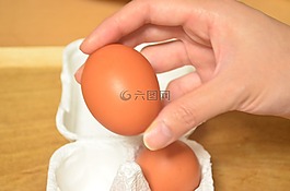 蛋,黃,食品
