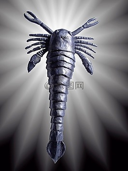 pterigotus,饭桶,志留纪