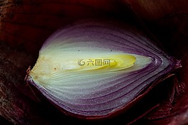 洋蔥,黑暗,食品