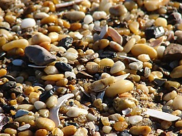 鵝卵石,海灘,巖