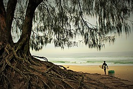 海灘,沖浪,飛行