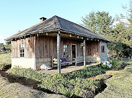 放假回家,野生動物園,非洲