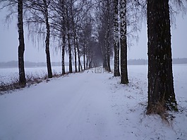 冬天,雪,晚上