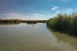 拉古纳,湖,捕鱼